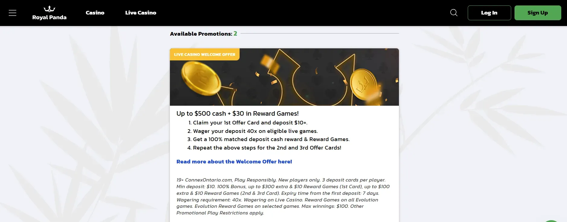 royalpandacasino_5.webp